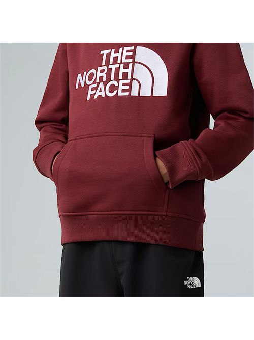  THE NORTH FACE | NF0A8EHH/0VO1